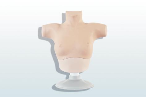 乳腺癌觸診、視診訓(xùn)練模型